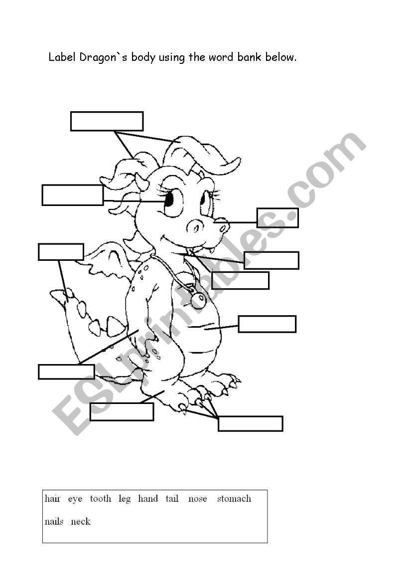 Label Dragon`s body using the word bank below.